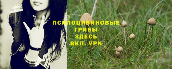 а пвп мука Володарск